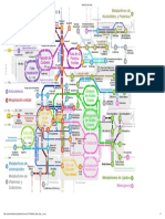 Metabolic_Metro_Map_-_es.pdf
