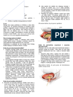 Trening besike.pdf