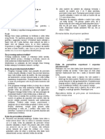 Trening Besike PDF
