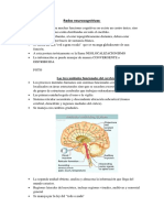 Neuro 1er Clase Redes Neuronales