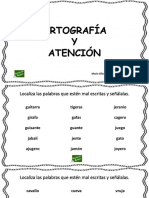 Atencion y Ortografia