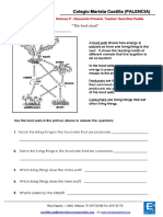 Ecosystems activities.pdf