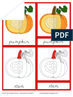 Parts of The Pumpkin