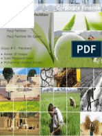 Fertilizer Sector Financial Analysis PDF