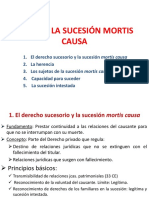 Tema 6 - La Sucesión Mortis Causa PDF