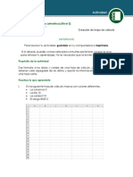 Crearhojasdecalculo N2 L5 Act PDF