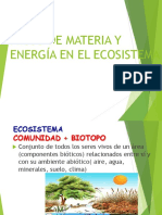 Flujo de Materia y Energía en El Ecosistema-1
