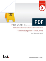 ISO 45001_Documento tecnico_Acercandose al cambio.pdf