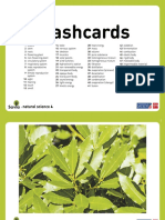 Flashcards 4 PDF
