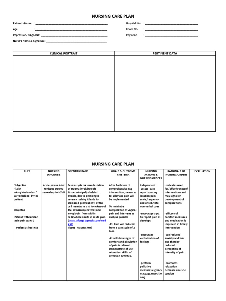 Nursing Care Plan for Acute Pain Management | PDF | Pain | Analgesic