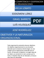 Objetivos y La Naturaleza Organizacional