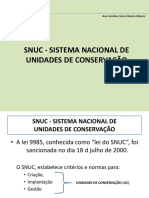 Aula 3 - SNUC - SISTEMA NACIONAL (2)