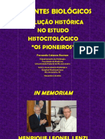 CORANTES HISTÓRIA.pdf