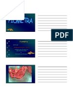 Piometra PDF