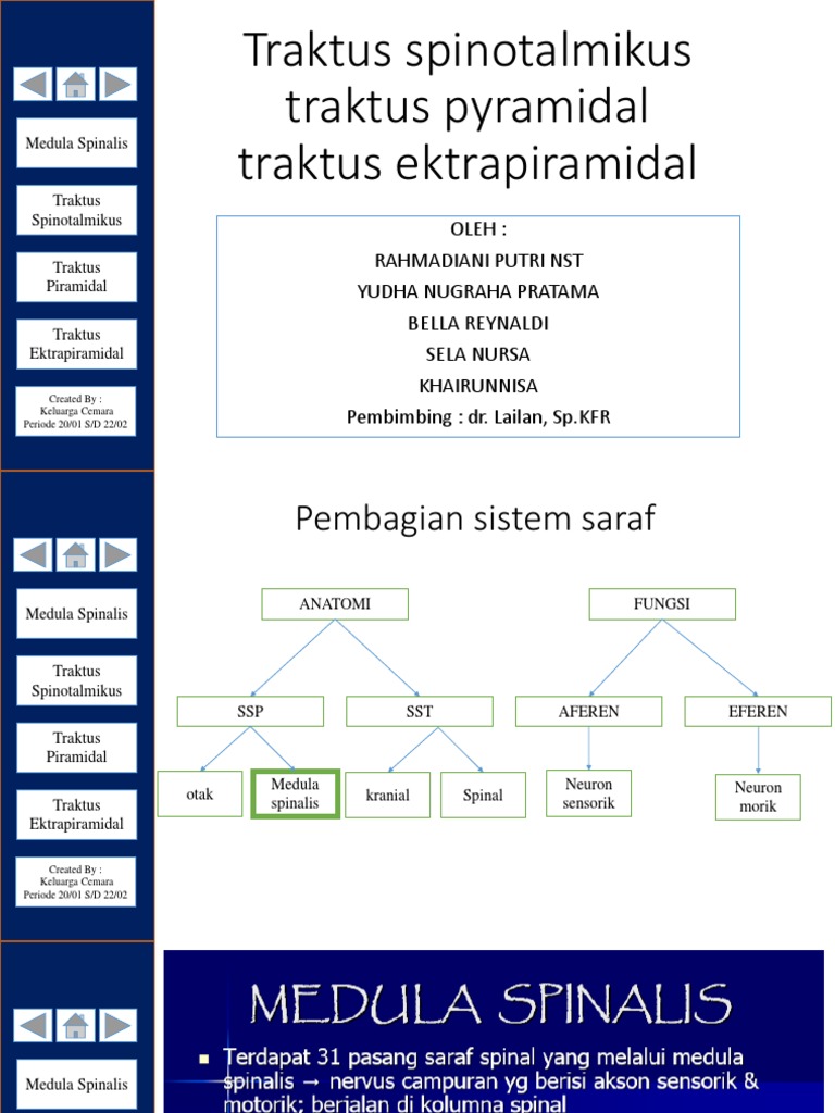 Leggings porno video