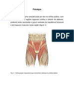 Pubalgia 1