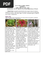 eWorksheet No.3_ Special Structures of Plants