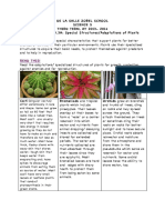 Eworksheet No.3 - Special Structures of Plants