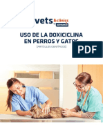 Uso de la doxiciclina en perros y gatos: indicaciones, administración y duración del tratamiento