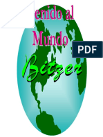 manual bitzer_sp.pdf