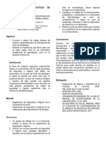 Micro P1 PDF