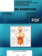 Sistema Digestivo