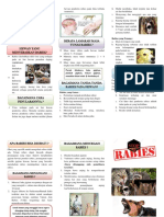 Leaflet Rabies Revisi