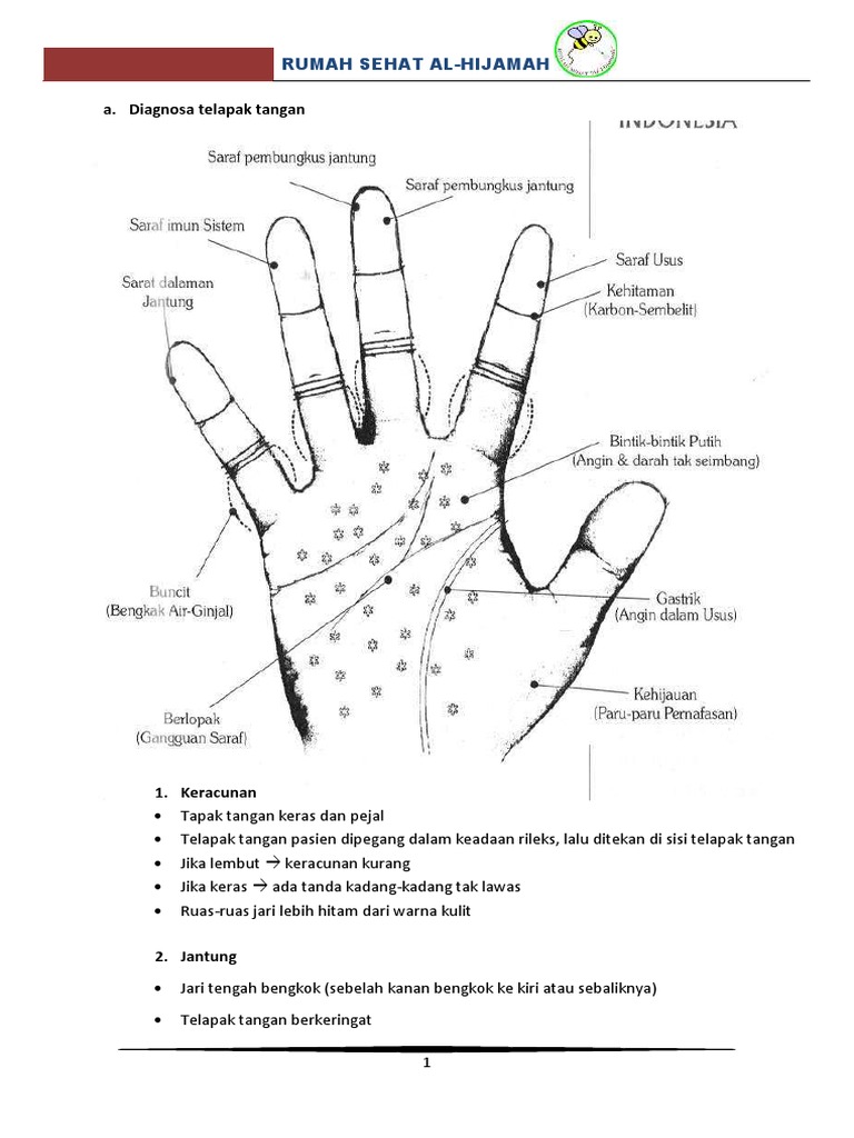 Diaqnosa Telapak Tangan Pdf Pdf