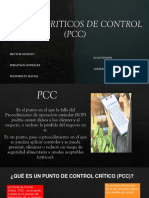 Puntos Críticos de Control (PCC)