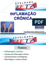 Inflamação Crônica e suas Consequências