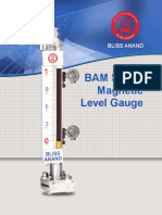 Magnetic Level Gauge