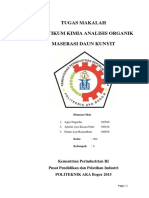 MAKALAH Daun Kunyit - 2D1 - Kel 4