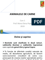 ORIGINEA ANIMALELOR DE CARNE Curs 1.pdf.pdf