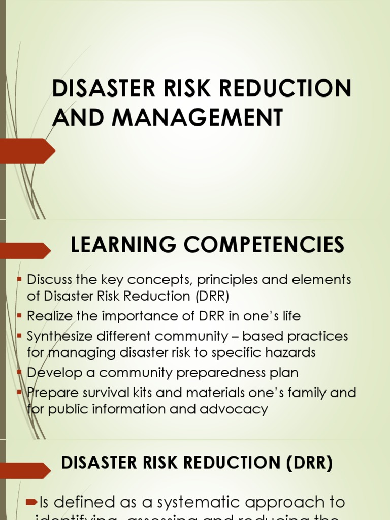 disaster risk management dissertation