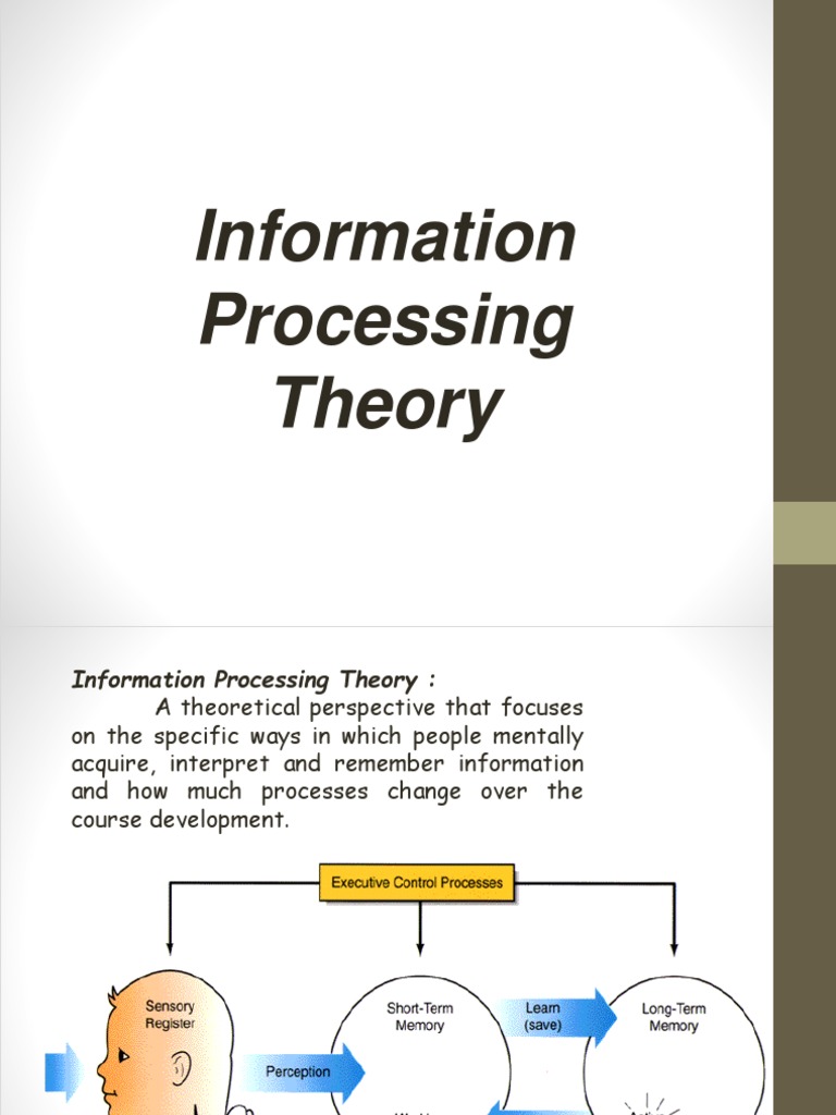 Understanding Information Processing | PDF | Career & Growth