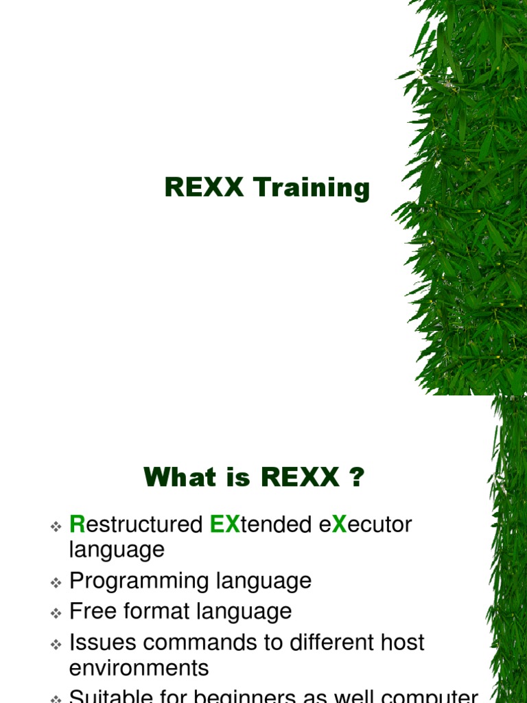 REXX Training | PDF