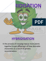 Hybridisation