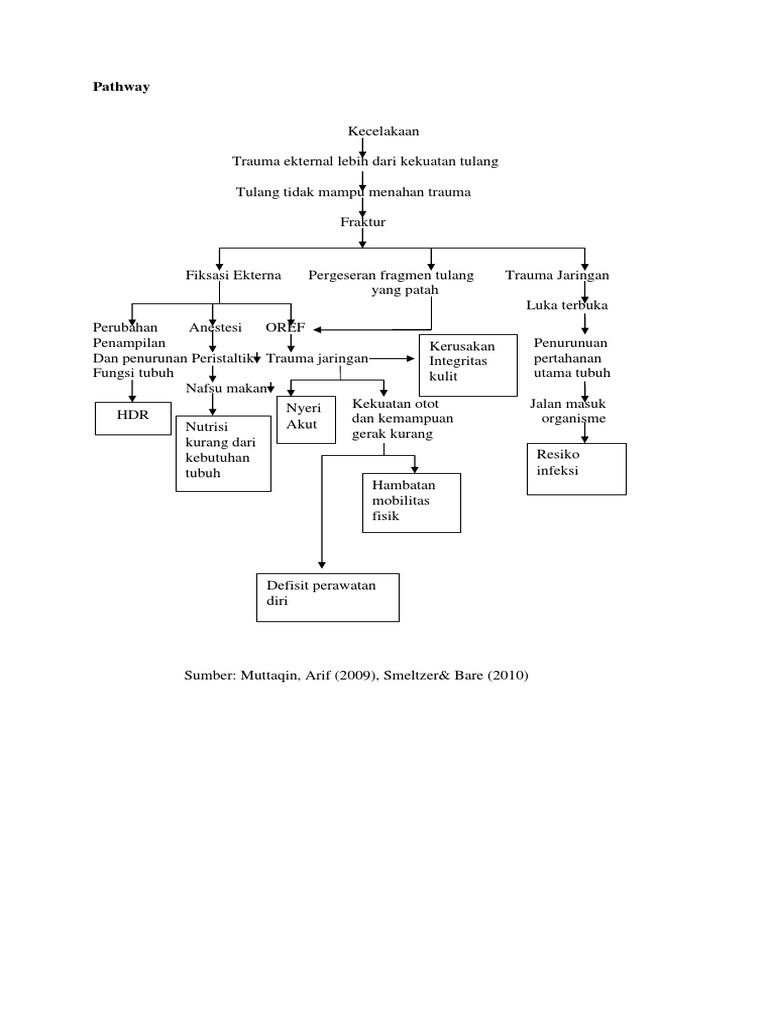 2 Pathway Fraktur | PDF