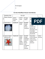 Invertebrata Klasifikasi dan Ciri Utama