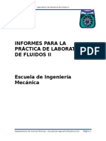 Informe Lab. Fluidos II