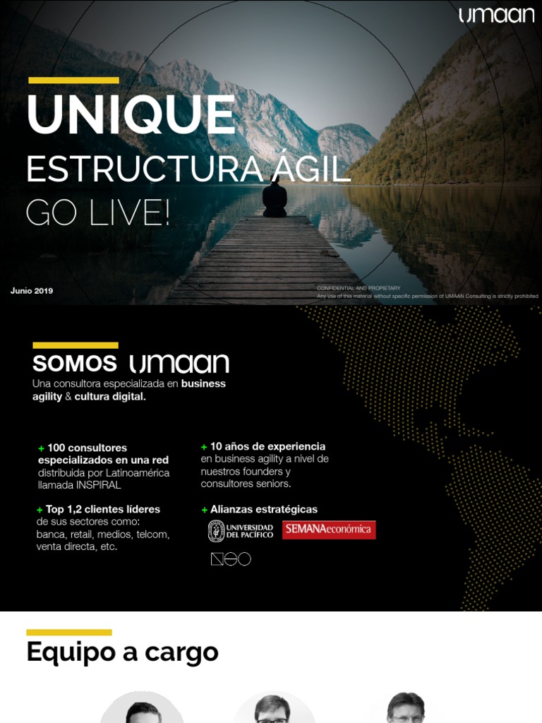 Consultora en Agilidad Empresarial | PDF