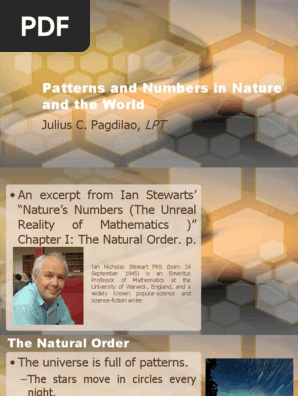 Patterns and Numbers in Nature and the World.ppt
