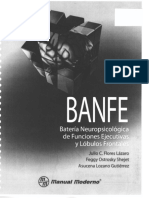 Manual BANFE 