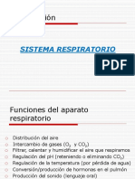 SISTEMA RESPIRATORIO.pdf