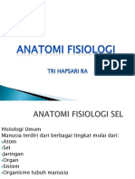 Anatomi Fisiologi Sel. Untuk Pekerti