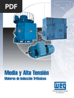 Motores Electricos de Media y Alta Tencion