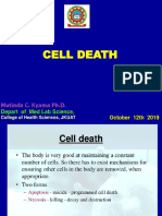 Cell Death Presentation 11.10.2019