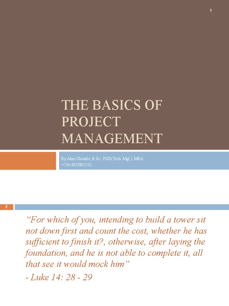 Project Management Fundamentals Guide | PDF | Project Management | Cost ...