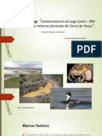 Contaminación Lago Junin - Perú