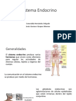 Sistema-Endocrino. Ultimo